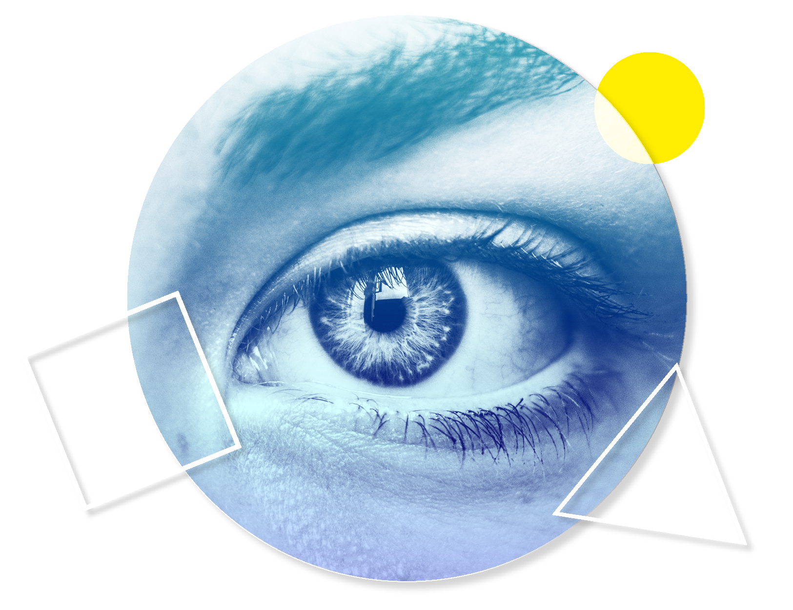 Eye