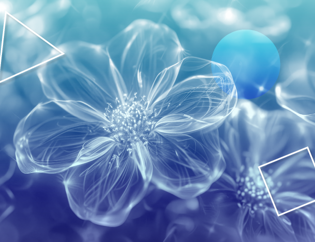 Sustainability Transitions