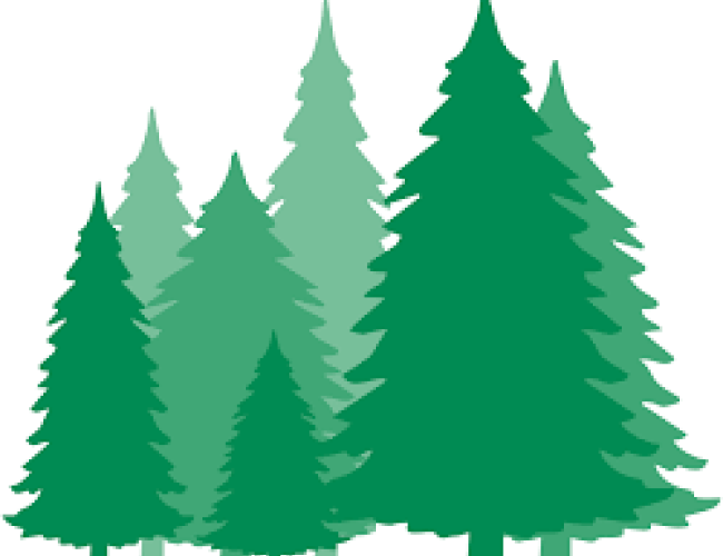 ForestNavigator